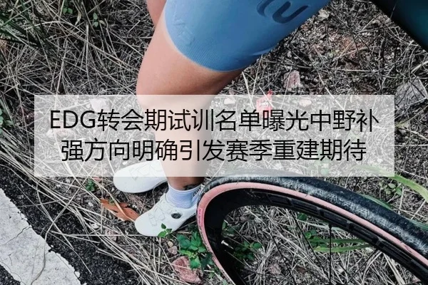 EDG转会期试训名单曝光中野补强方向明确引发赛季重建期待